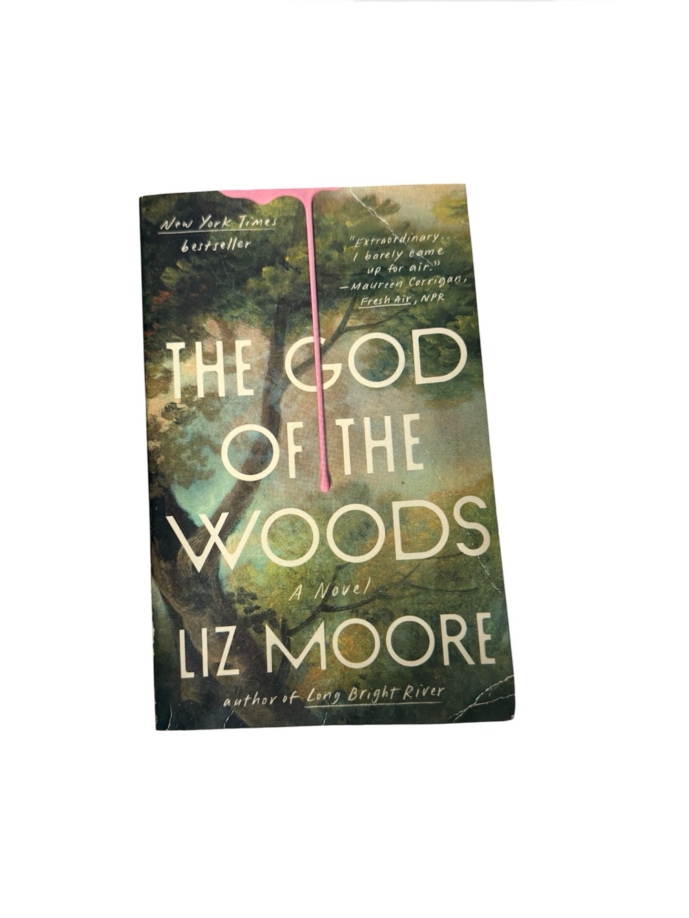 The God of the Woods - a Novel by Liz Moore - Paperback book - NYT Bestseller